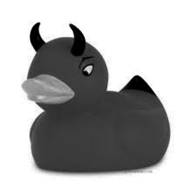 Example gray ducky